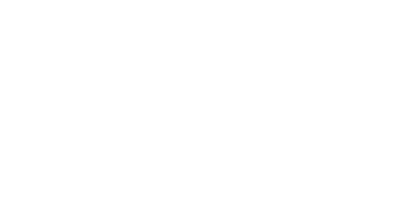 다이렉트 윈 logo